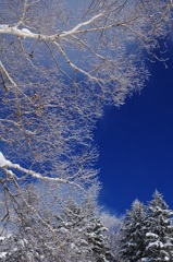 青い空