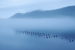 湖面を覆う