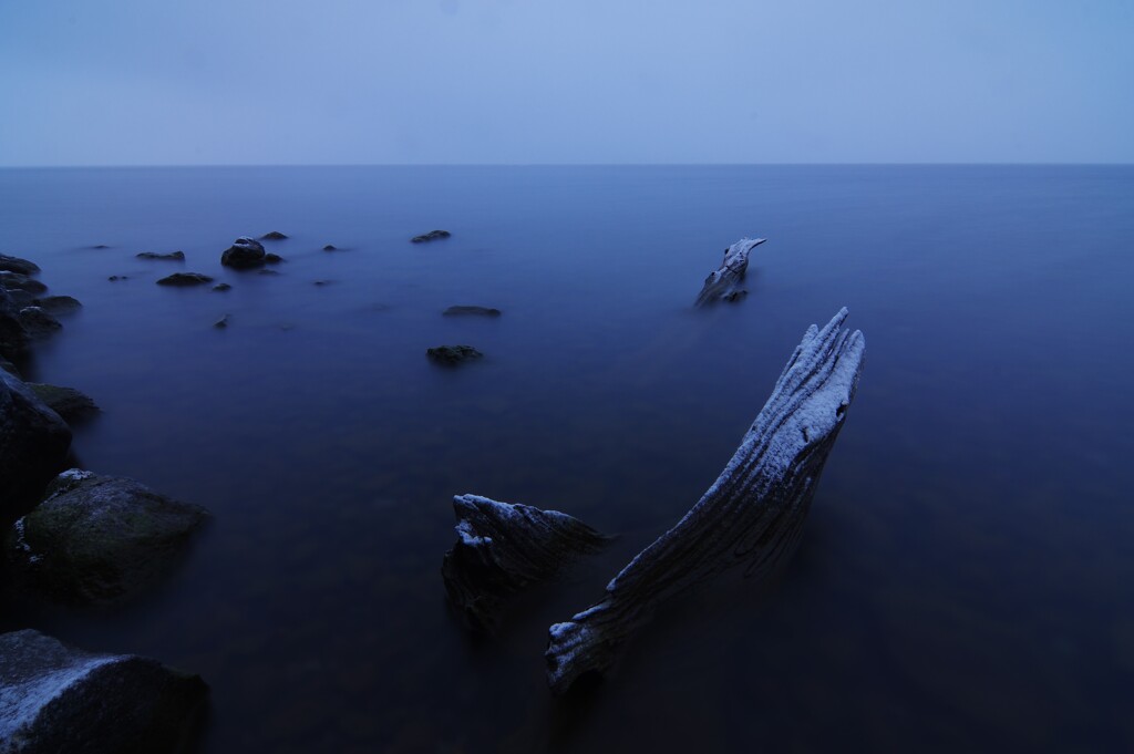 湿り雪