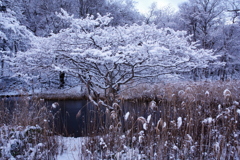 雪をのせて