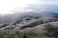 霧氷の樽前山