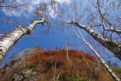 青い空
