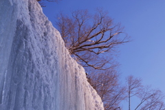 朝日を受けて