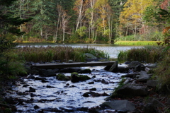 沼から川へ