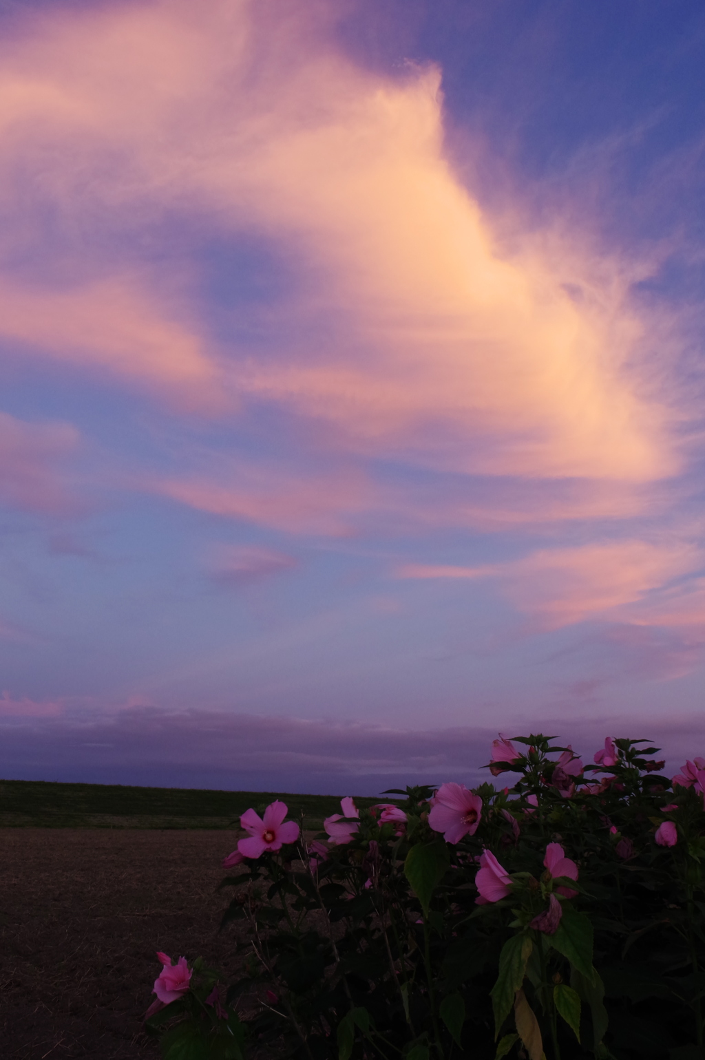 夕暮れ時