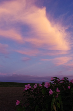 夕暮れ時