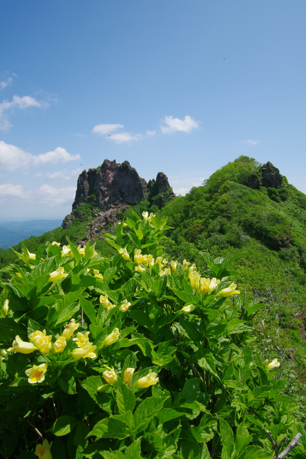 本峰