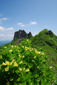 本峰