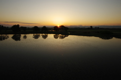 水鳥の沼の夜明け