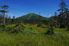 富良野　原始が原