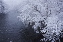 雪の千歳川