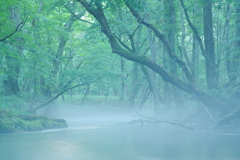 冷たい川