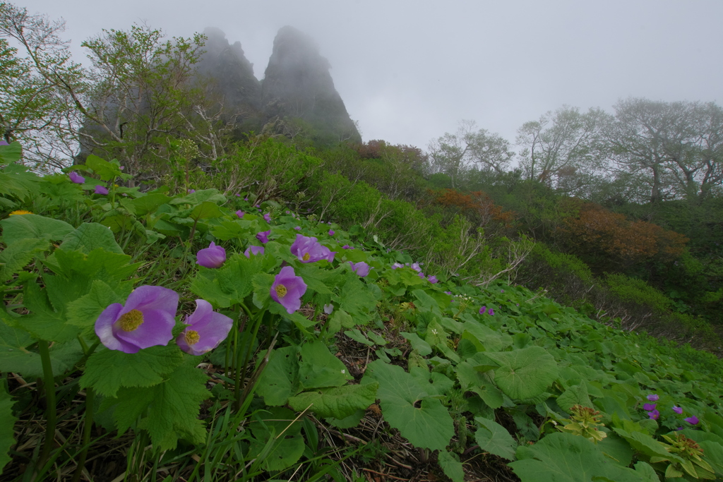 霧の尾根