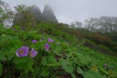 霧の尾根