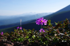 遠く大雪山