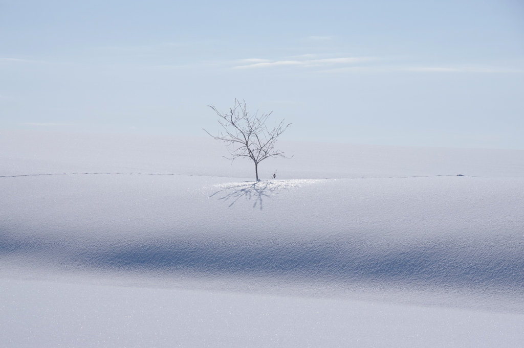 霧氷の雪