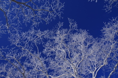 青い空