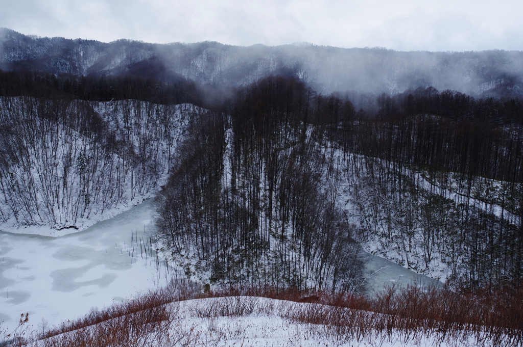 里山の冬景