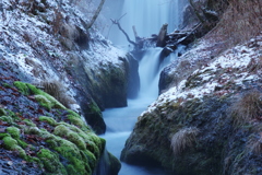 苔と雪の沢