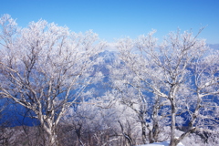 霧氷