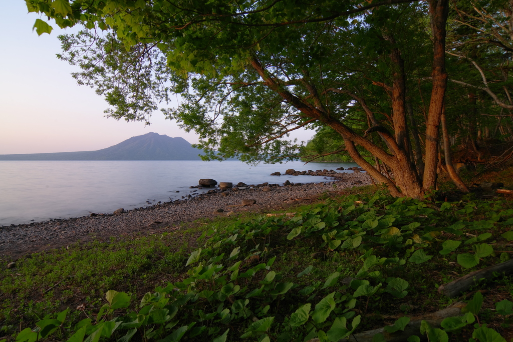 朝日を浴びて