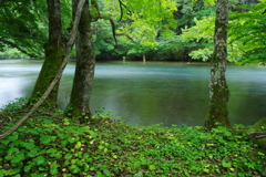 美しい川