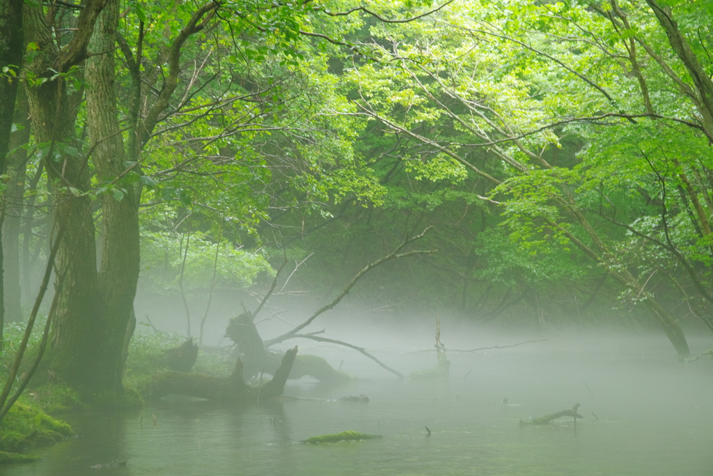 川霧の向こう