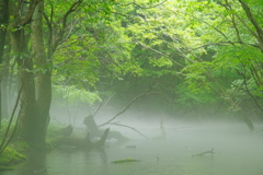 川霧の向こう