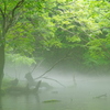 川霧の向こう