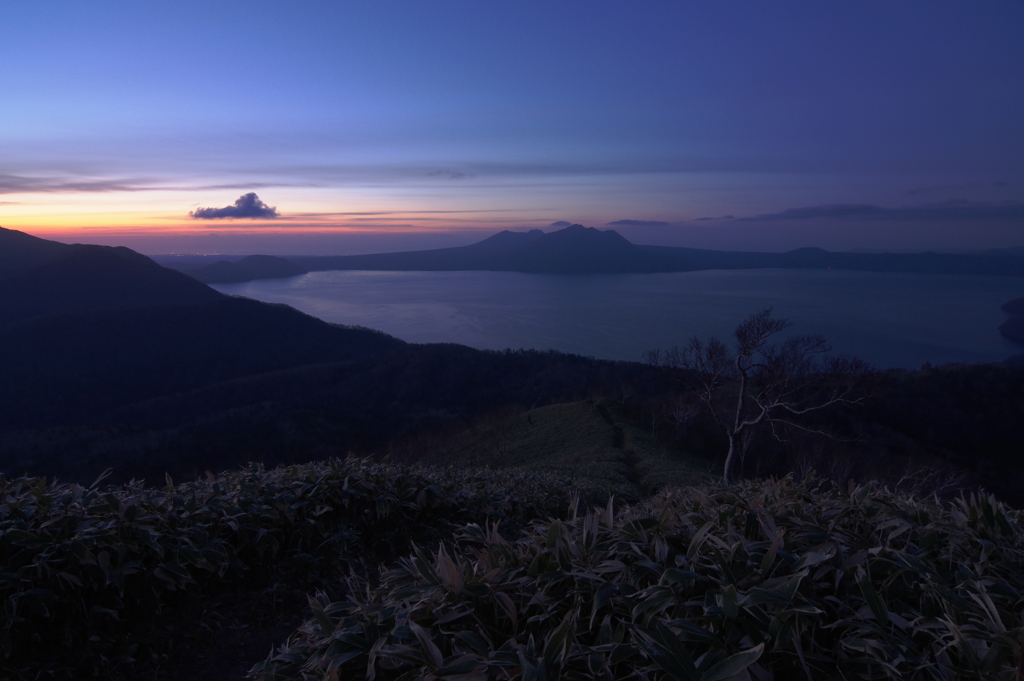 登山道