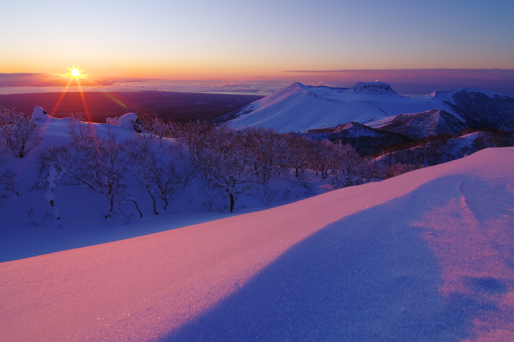赤い雪