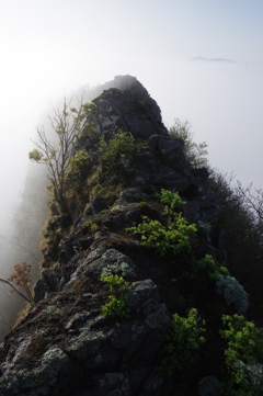 細尾根