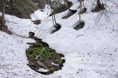 雪融け