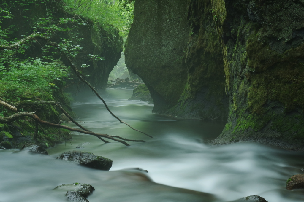 川霧