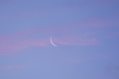 朝の月