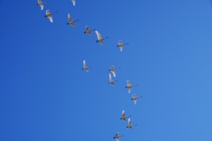 青い空