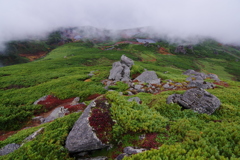 赤い岩