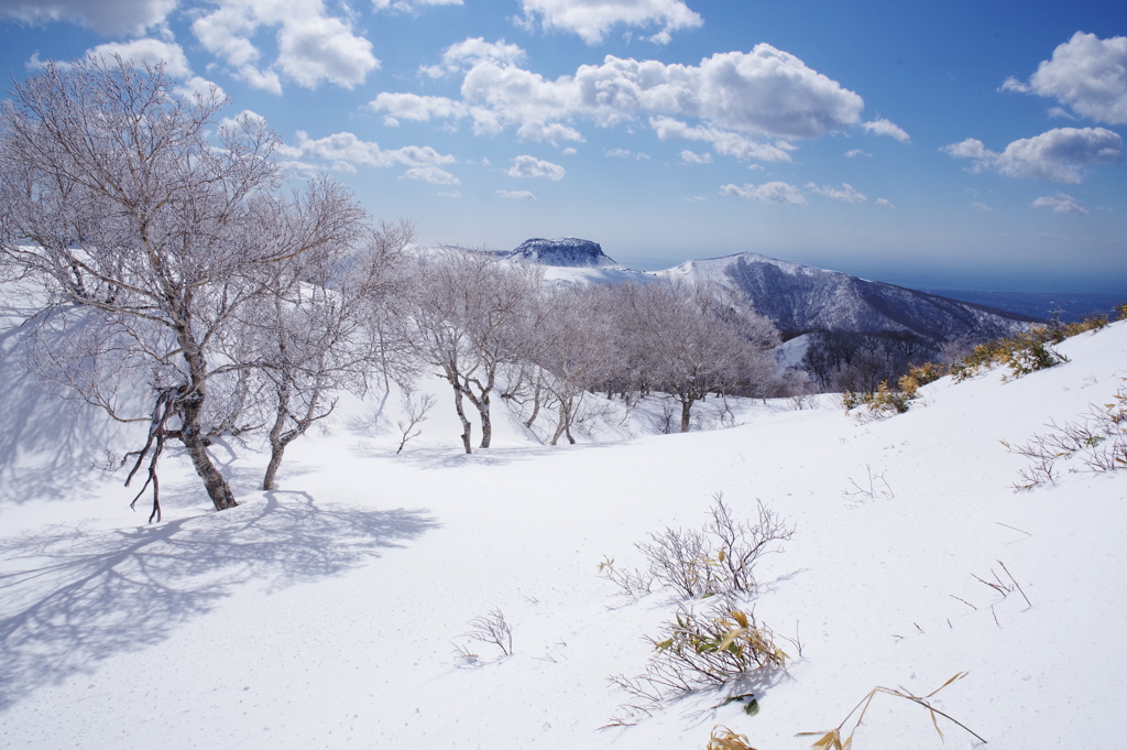 霧氷