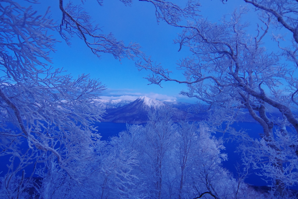 青い霧氷