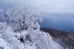 着雪