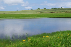 湿原の沼