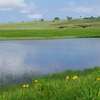 湿原の沼