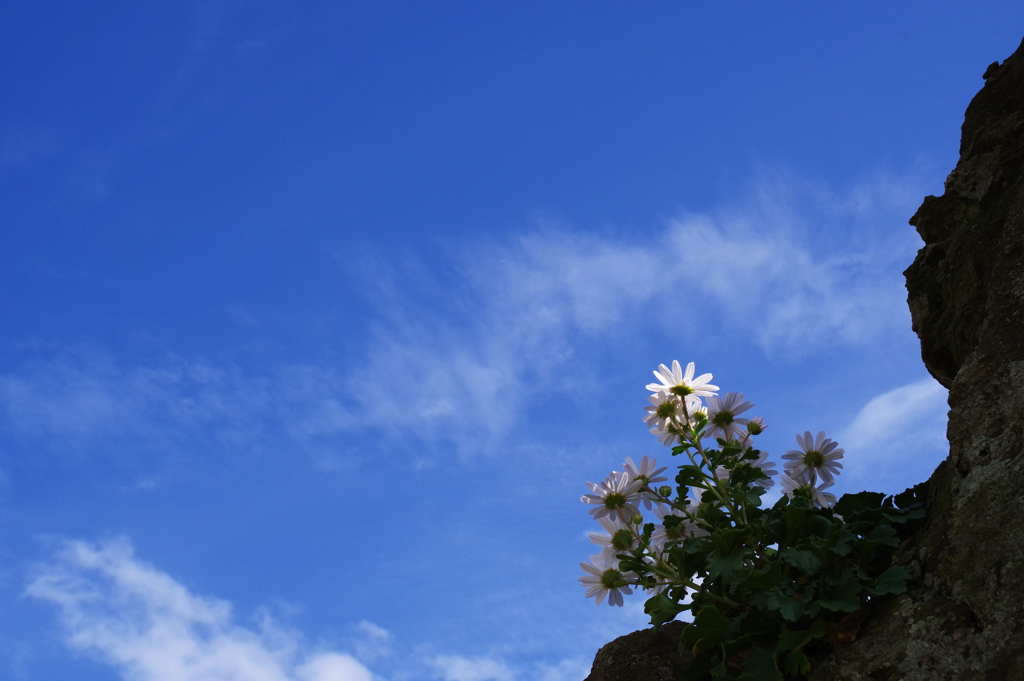 青い空