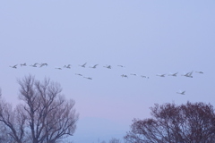 春空