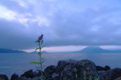 朝の支笏湖