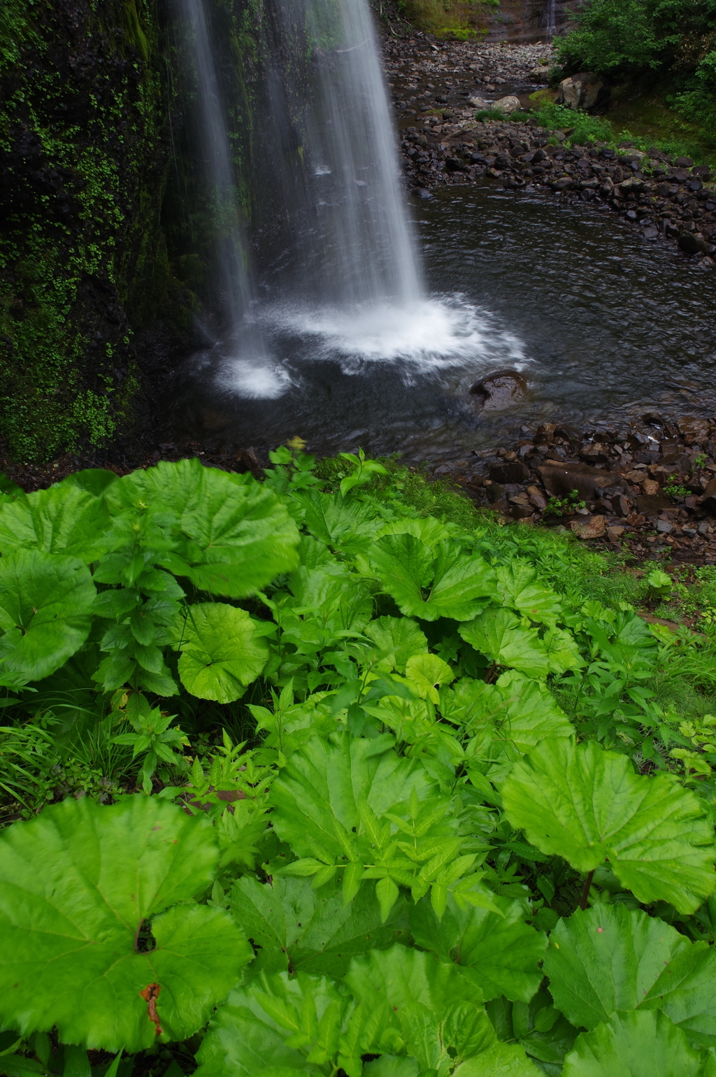 夏の滝