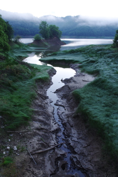 ダム湖へ注ぐ