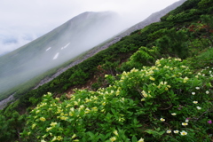 霞む頂上