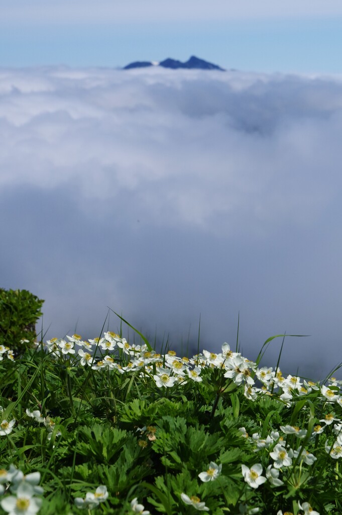 雲の上