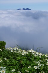 雲の上
